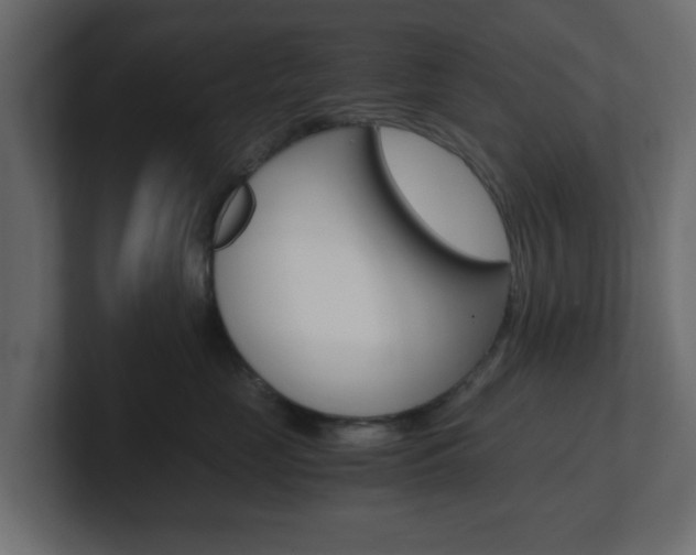 X0000101190669200806270848