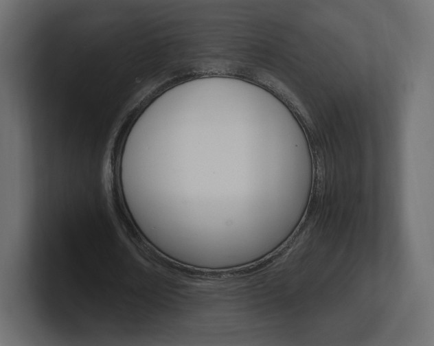 X0000101190674200806270848