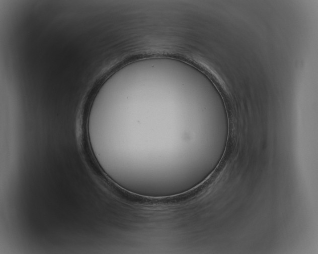 X0000101190677200806270848