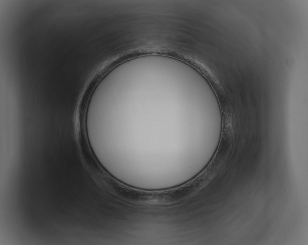 X0000101190678200806270848