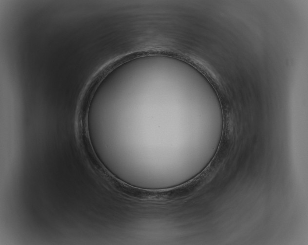 X0000101190680200806270847