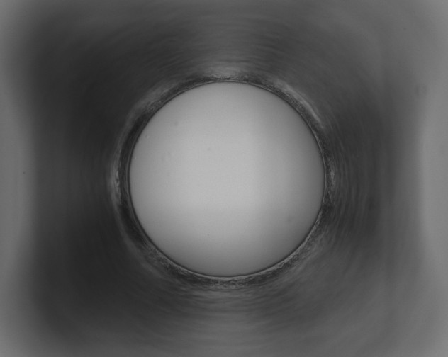 X0000101190682200806270847
