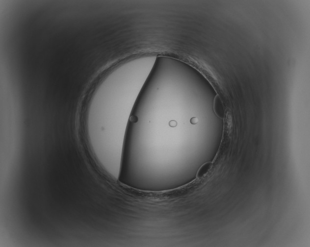 X0000101190684200806270847