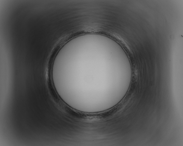X0000101190686200806270847