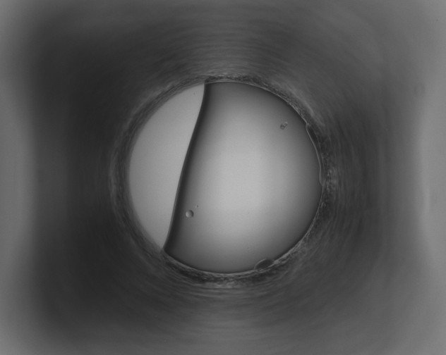 X0000101190688200806270847