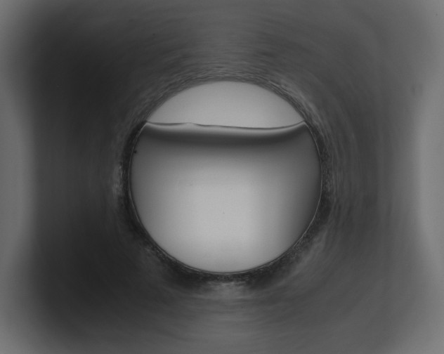X0000101190689200806270847