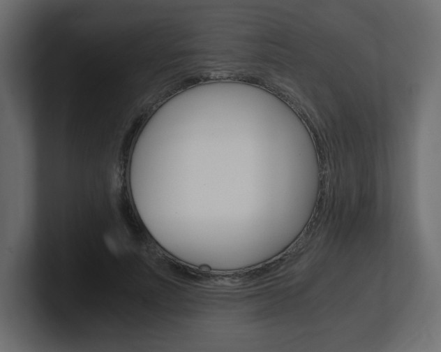 X0000101190691200806270847