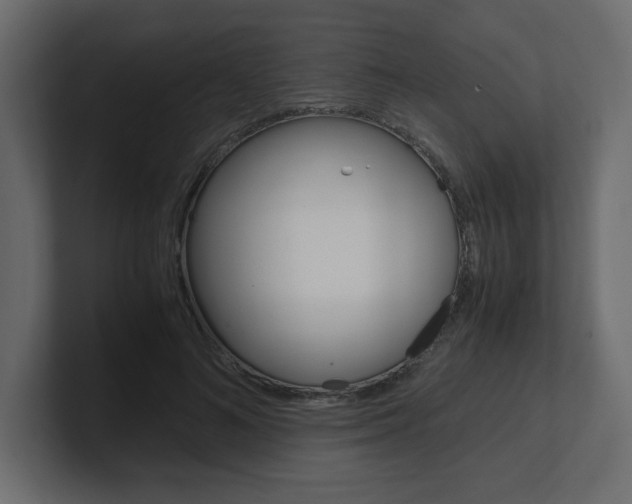 X0000101190692200806270847