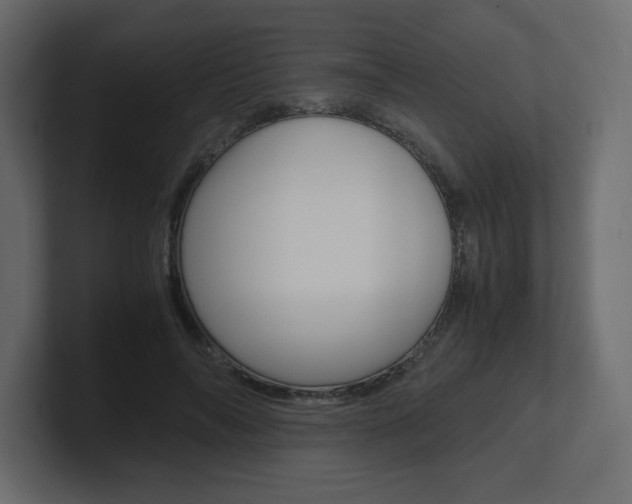 X0000101190694200806270847