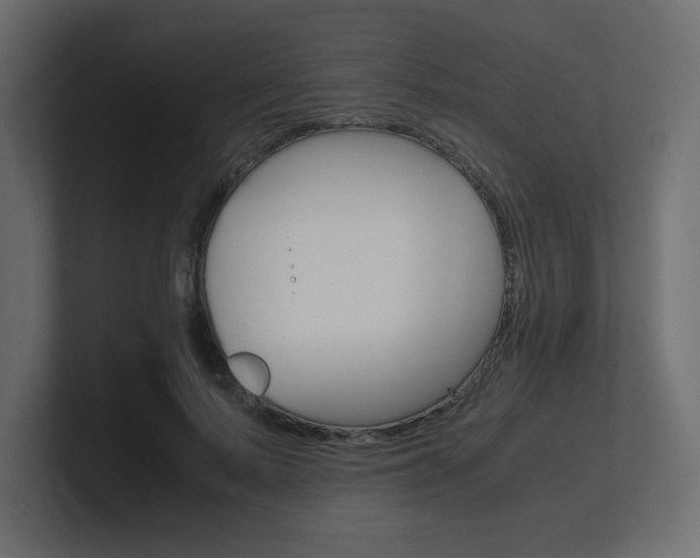 X0000101190695200806270847