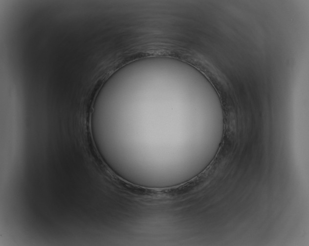 X0000101190696200806270847