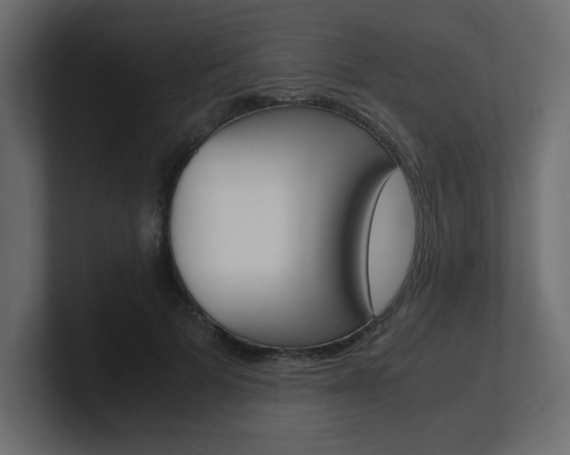 X0000101190697200806270847