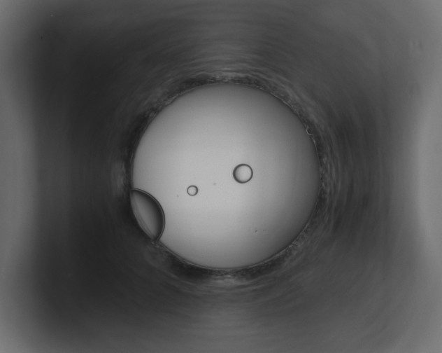 X0000101190704200806270847