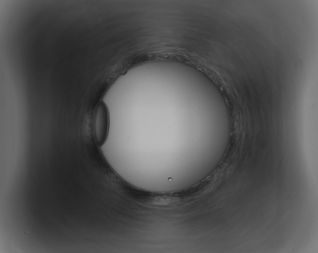 X0000101190708200806270847