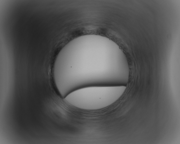 X0000101190711200806270847