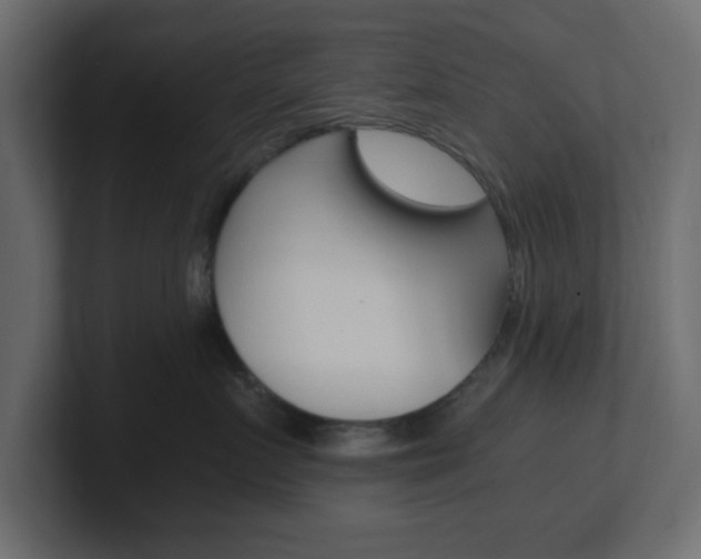 X0000101190719200806270847