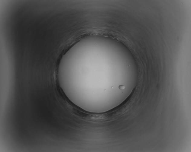 X0000101190720200806270847