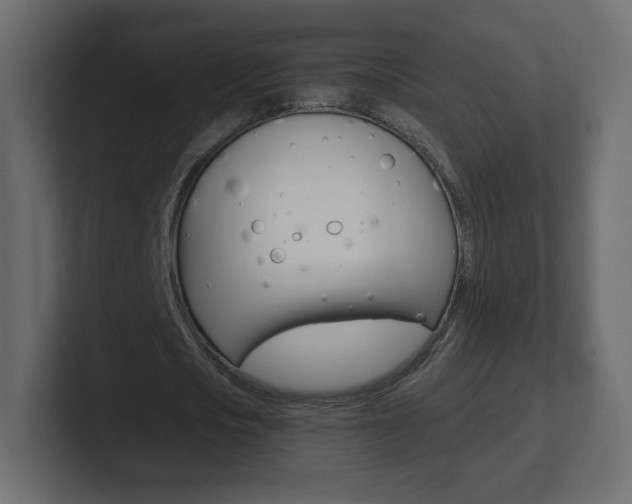 X0000101190721200806270846