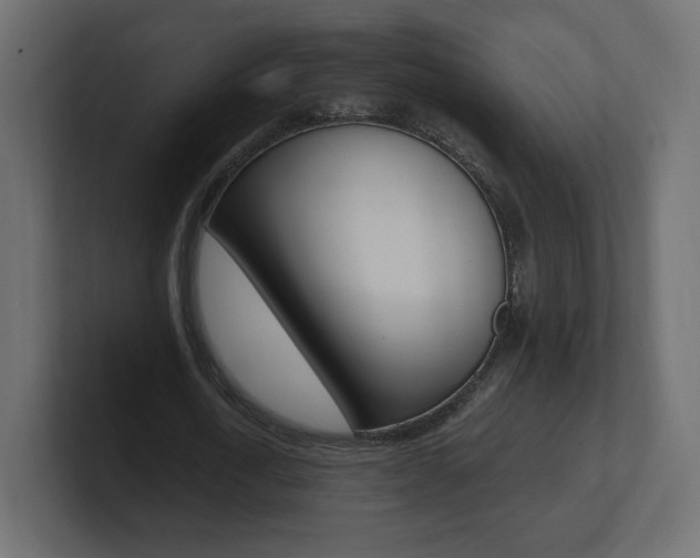 X0000101190722200806270846