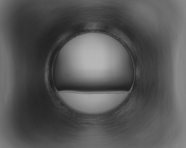 X0000101190724200806270846