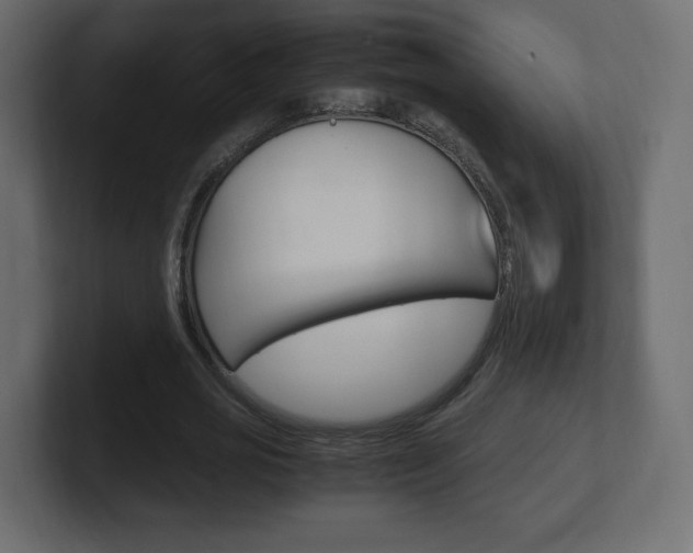 X0000101190725200806270846