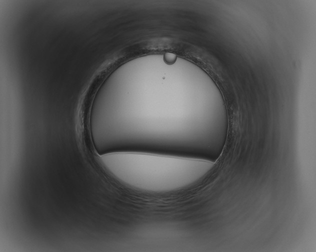 X0000101190727200806270846