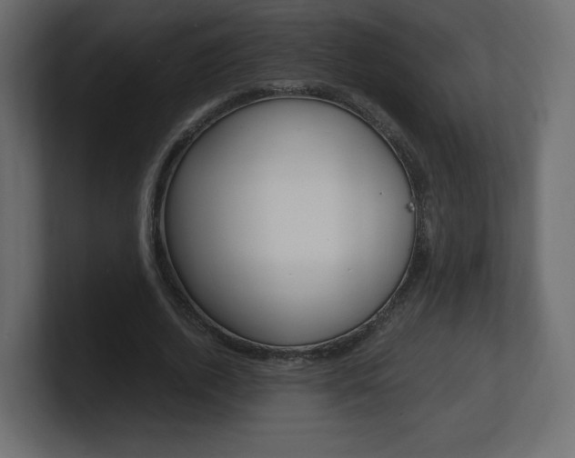 X0000101190728200806270846