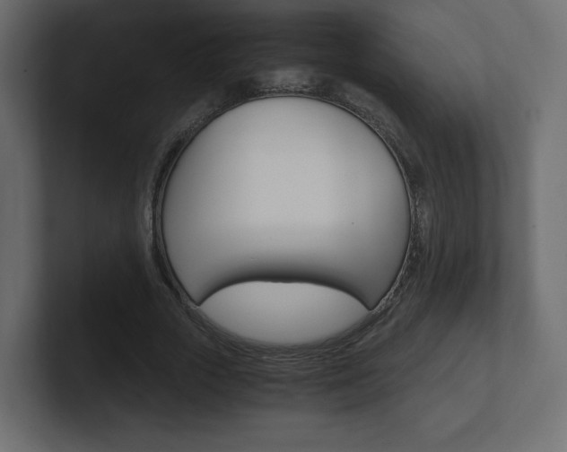 X0000101190729200806270846