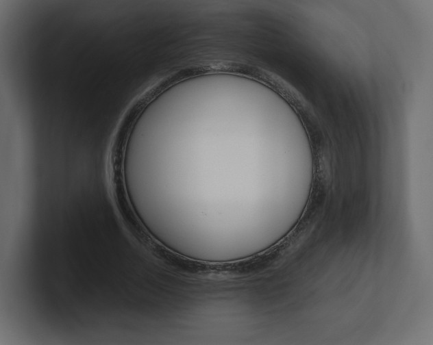 X0000101190730200806270846