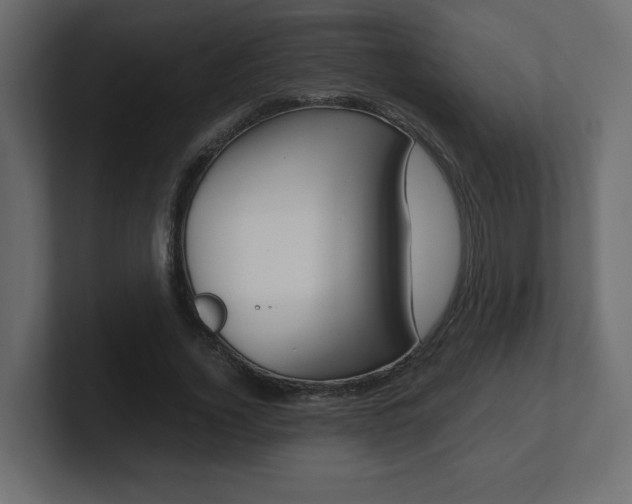 X0000101190732200806270846