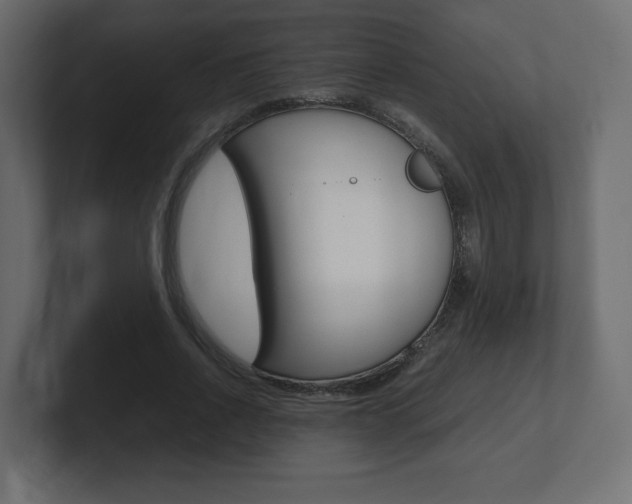X0000101190734200806270847