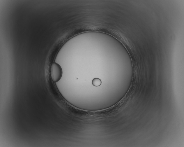 X0000101190736200806270847