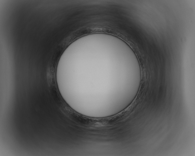 X0000101190737200806270847