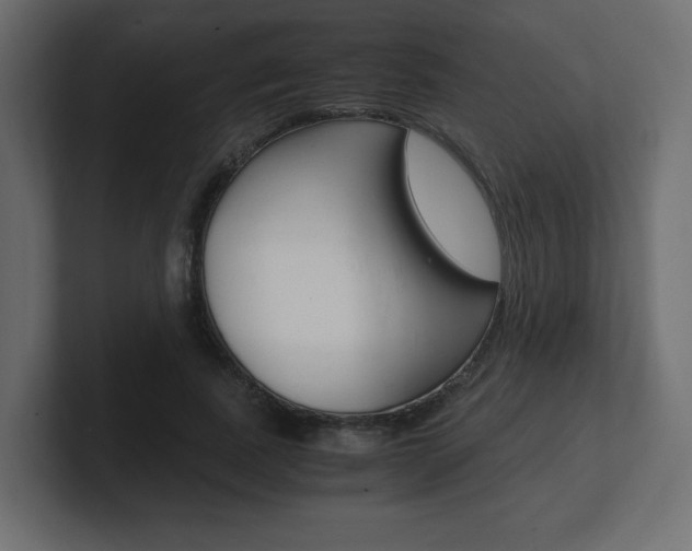 X0000101190739200806270847