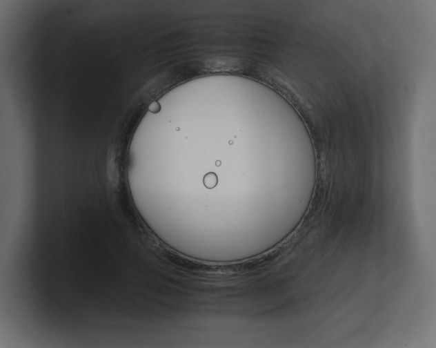 X0000101190741200806270847