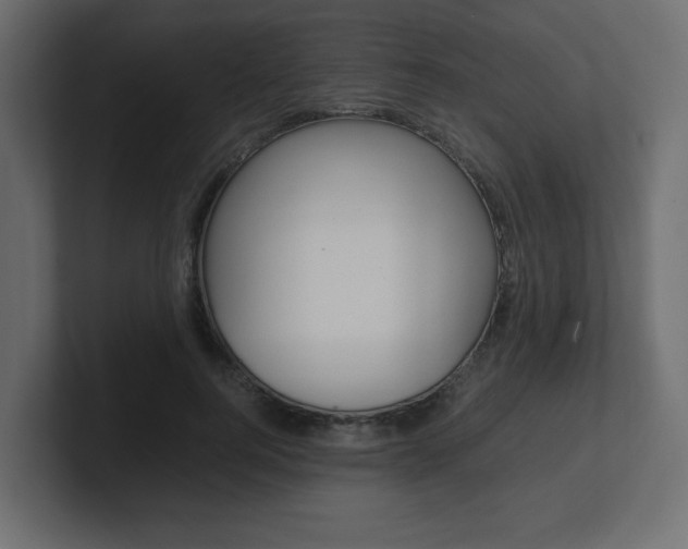 X0000101190744200806270847
