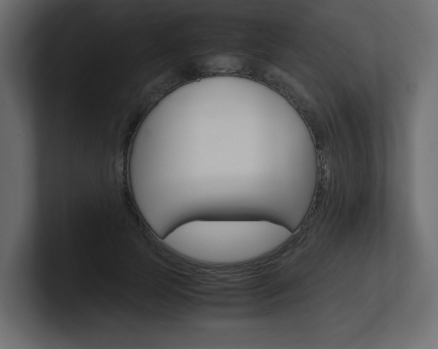 X0000101190745200806270847