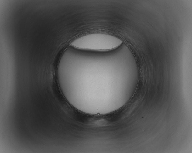 X0000101190747200806270847