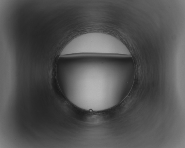 X0000101190750200806270847
