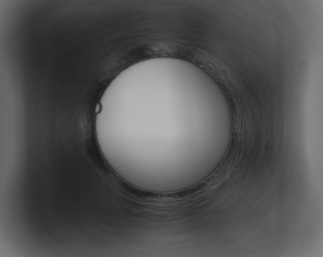 X0000101190751200806270847