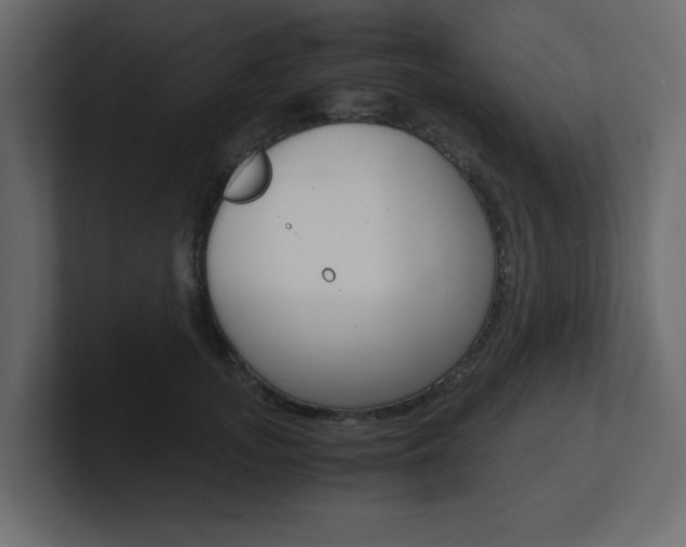 X0000101190755200806270847