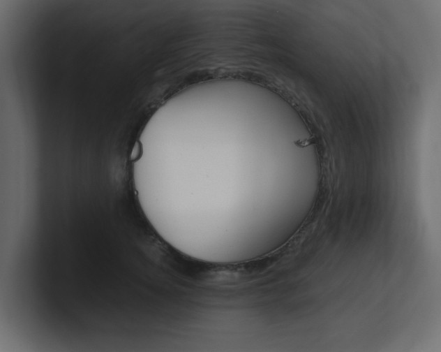 X0000101190756200806270847