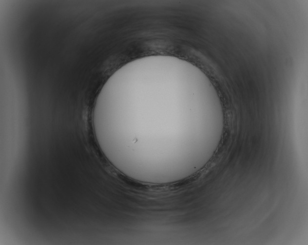 X0000101190757200806270847