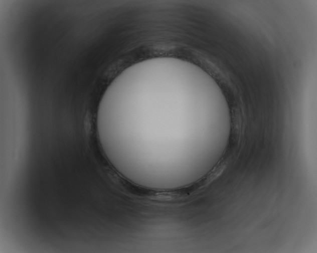 X0000101190758200806270847