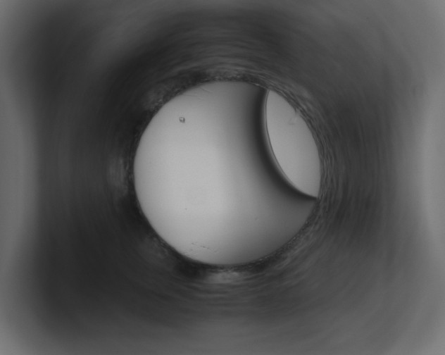X0000101190759200806270847