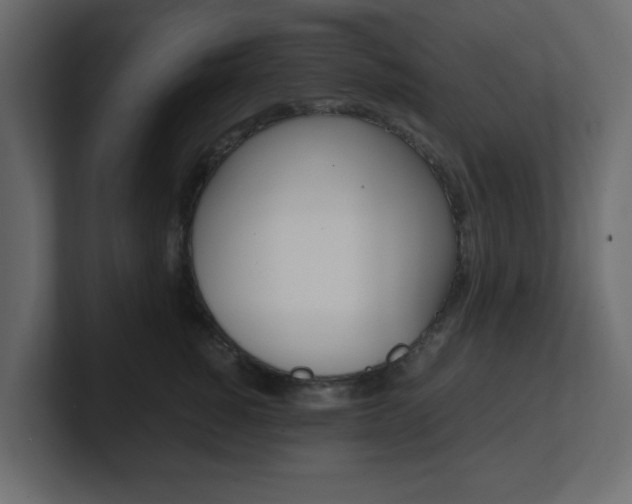 X0000101190760200806270847