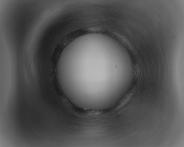 X0000101190762200806270847