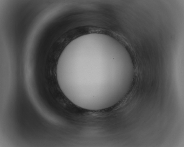 X0000101190763200806270847