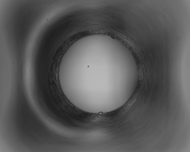X0000101190764200806270847
