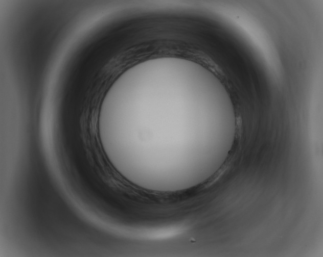 X0000101190765200806270847